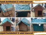  köpek kulübeleri 2 adet mevcut detayları okuyunuz adet 2500 tl