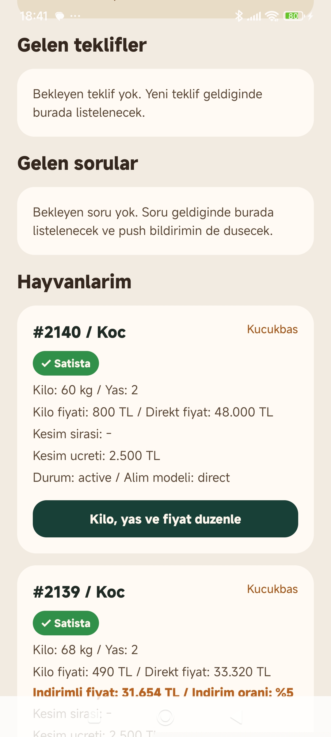 Mobil kullanım akışı